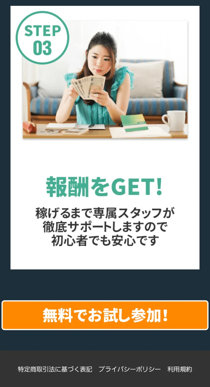 副業 詐欺 怪しい 合同会社アクセス 佐野 春