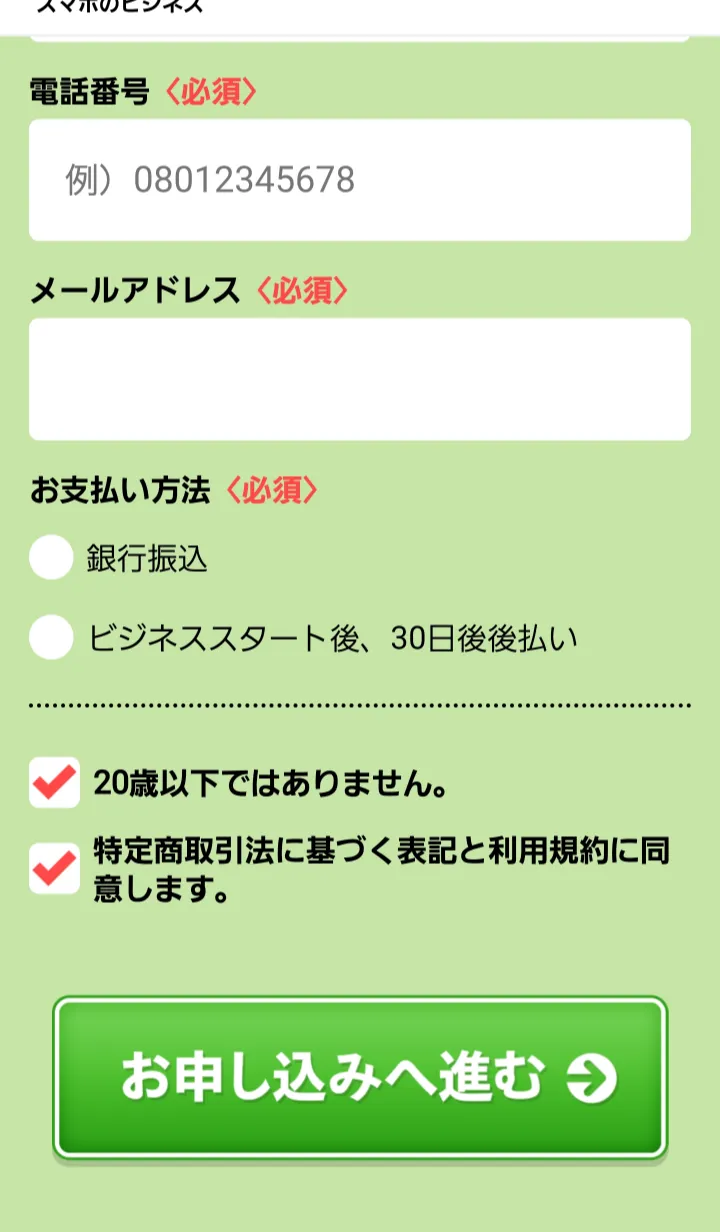 副業 詐欺 怪しい 合同会社REEF スマホでビジネス