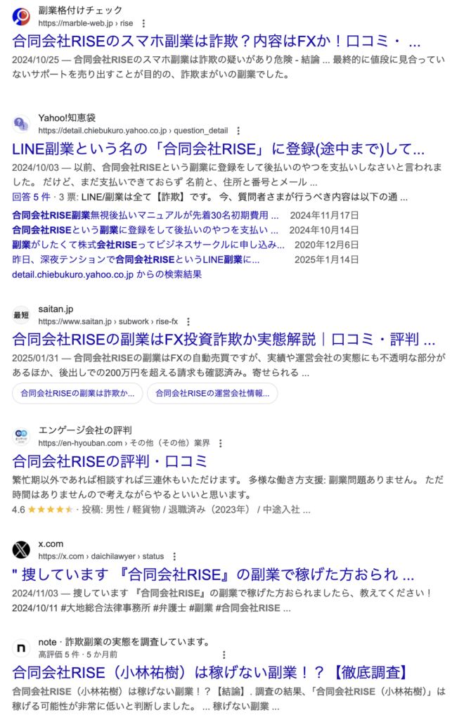 合同会社RISE｜清水春佳のgoogle検索結果のスクリーンショット